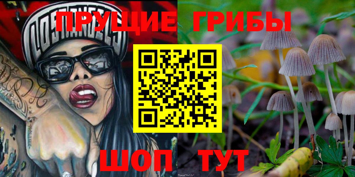 Псилоцибиновые грибы Psilocybe Шелехов
